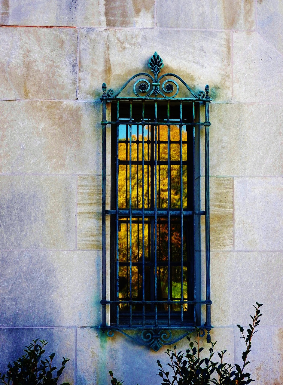 Image - window trees fall autumn