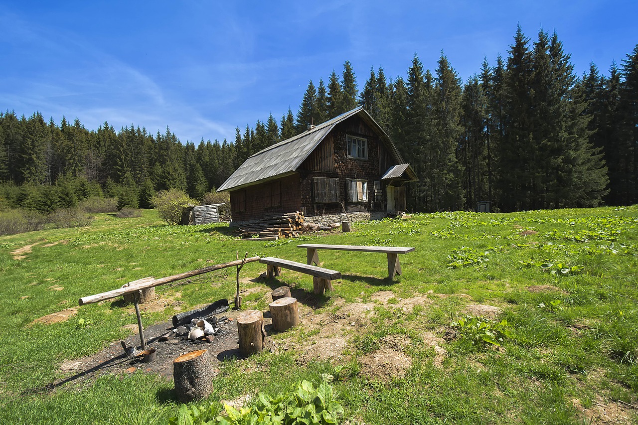 Image - glade landscape nature summer