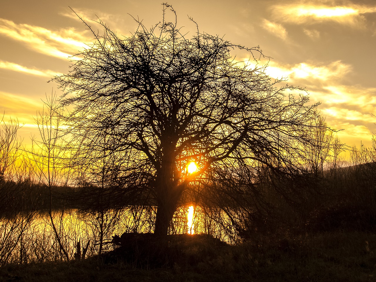 Image - gravel pond pond water lake