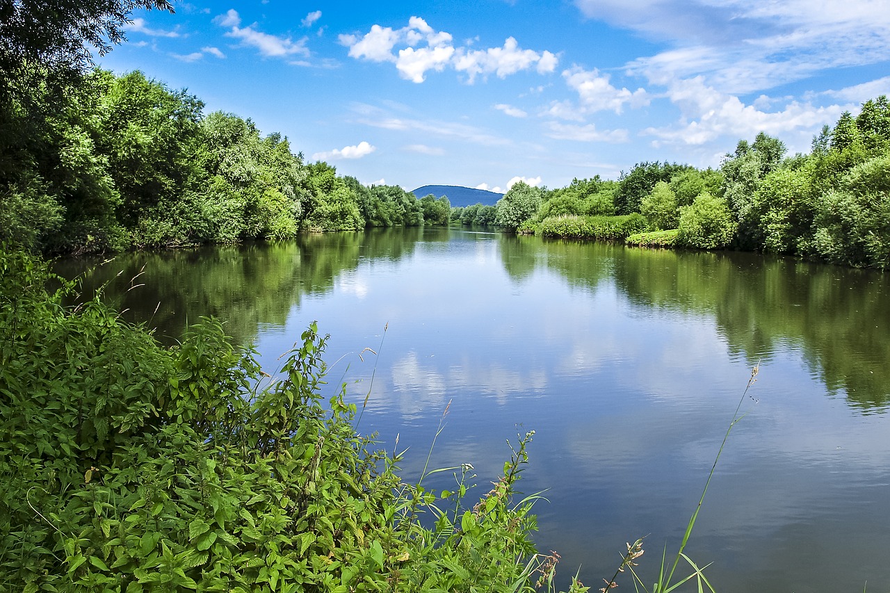 Image - gravel pond pond water lake