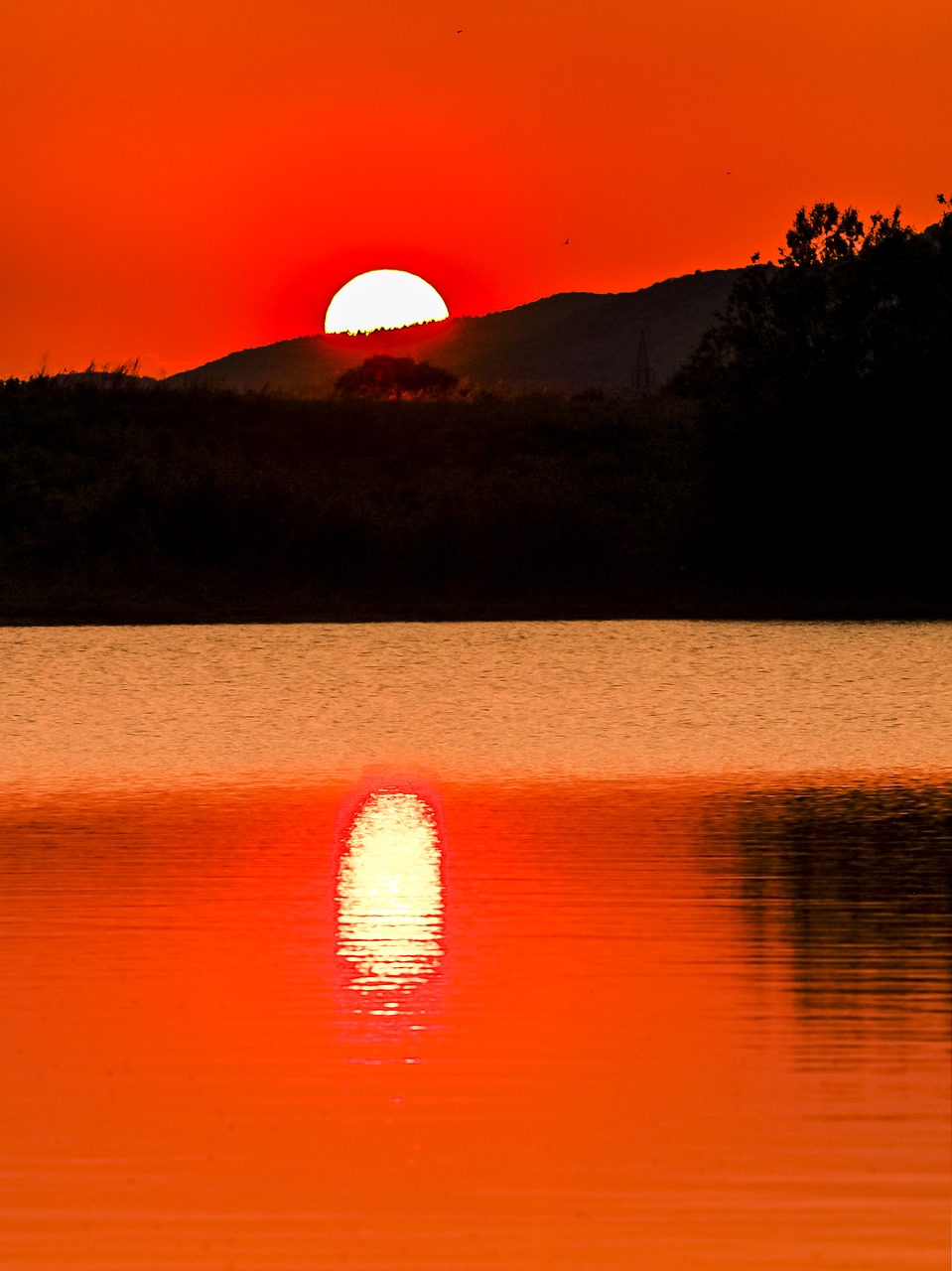 Image - gravel pond pond water lake