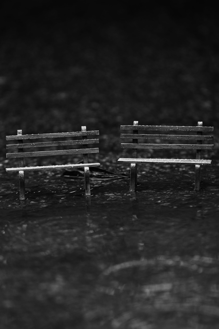 Image - bench sitting park water tiny