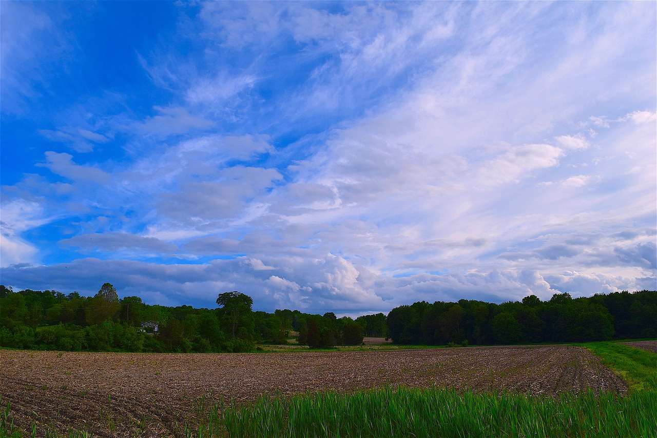 Image - field farm cloudy sky agriculture