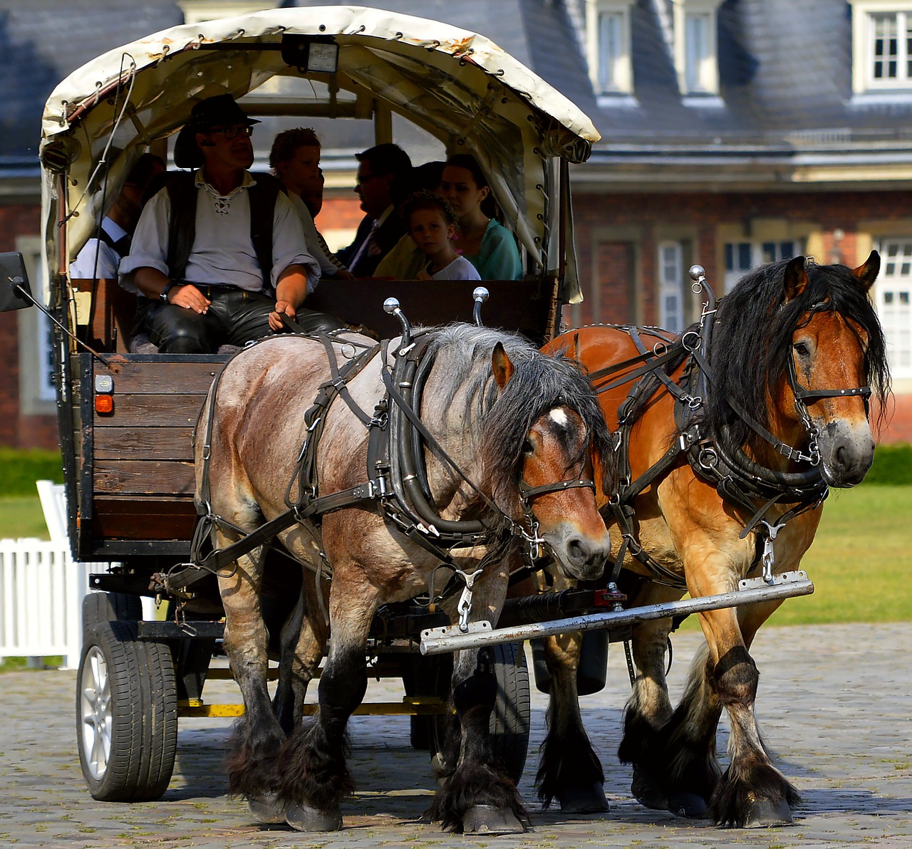 Image - horse drawn carriage drag livestock