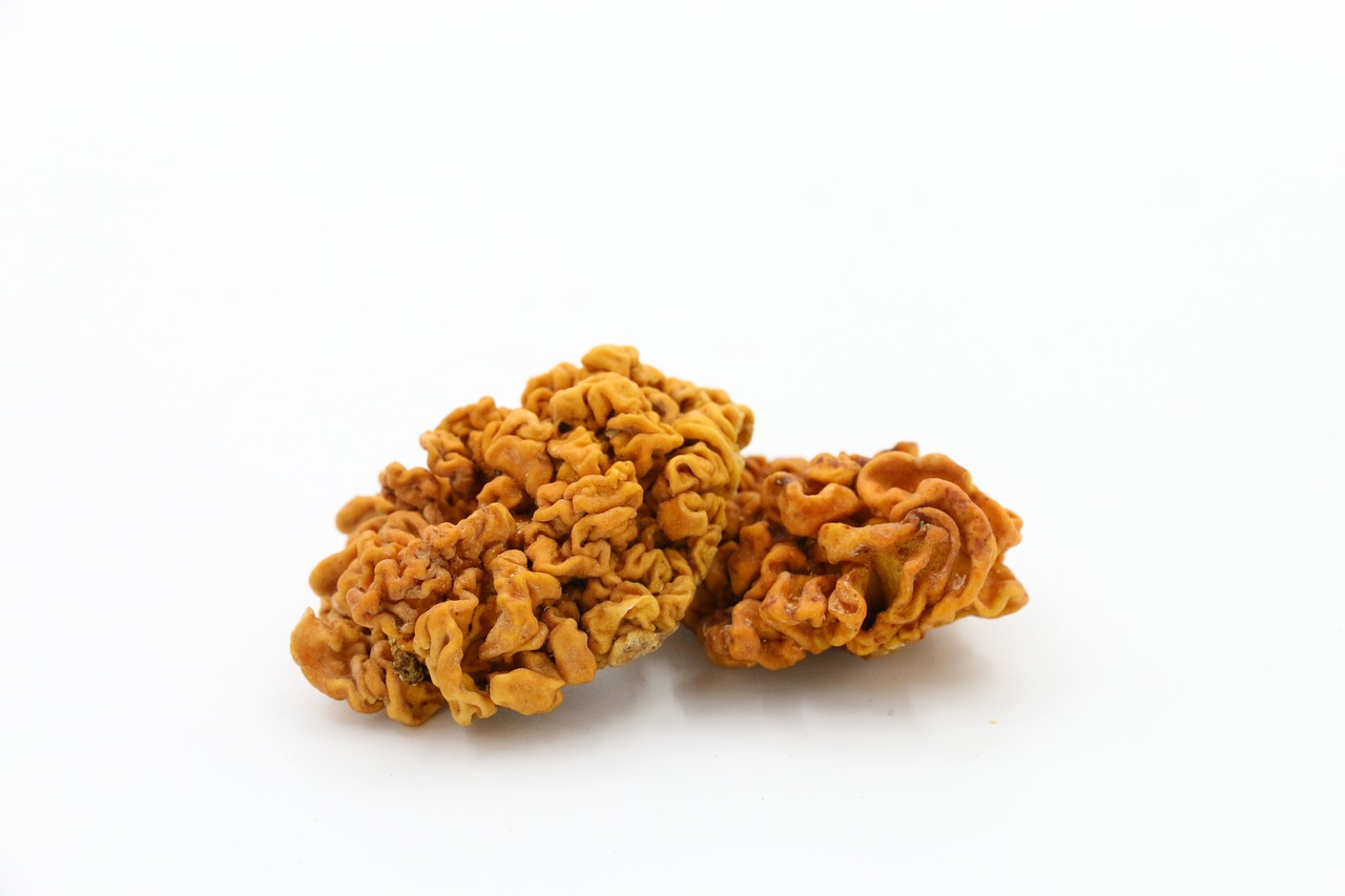 Image - gold ear gold white fungus health