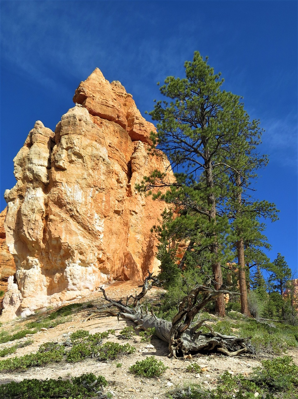 Image - bryce canyon hiking orange national