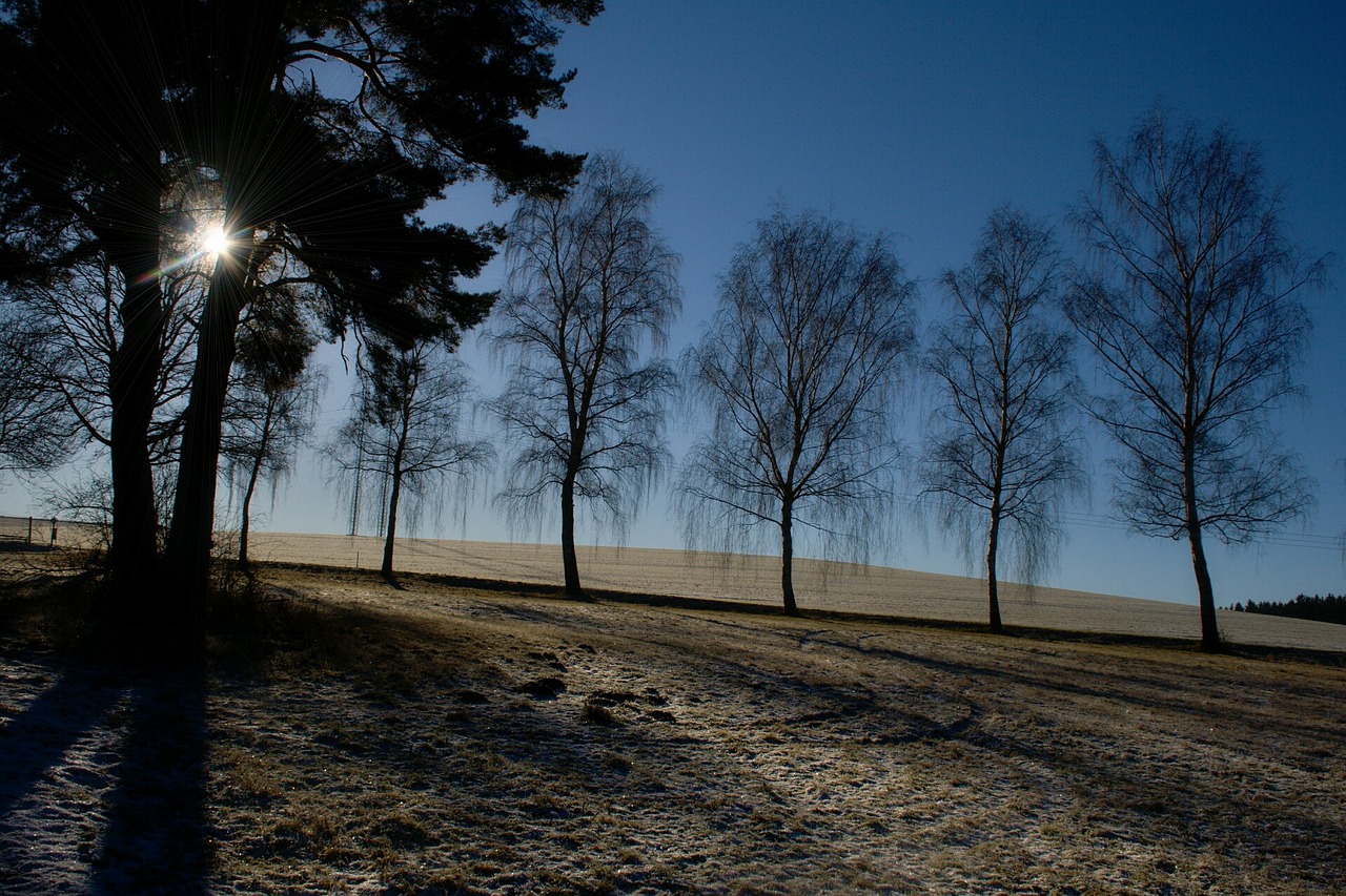 Image - vysočina czech republic nature