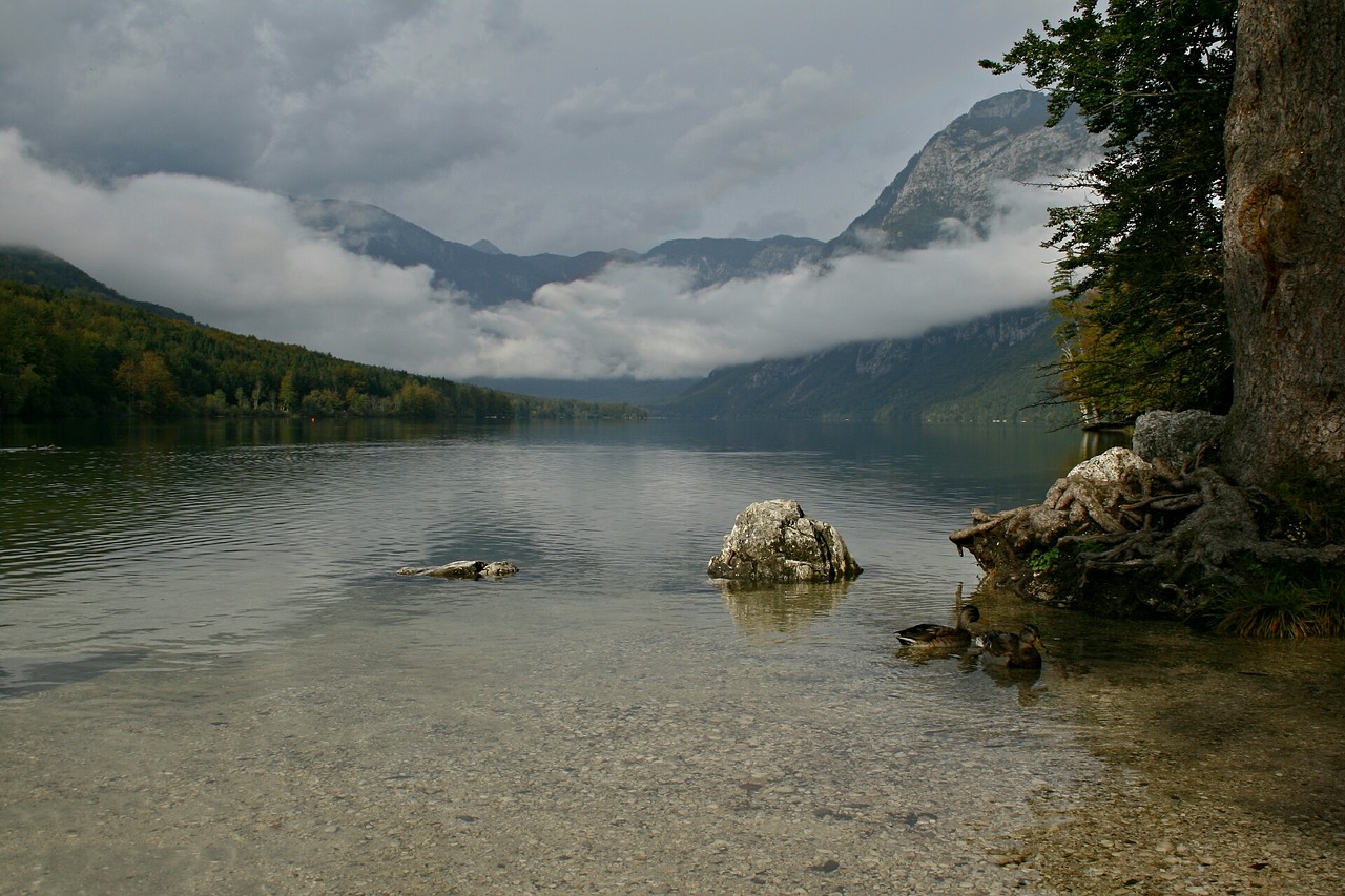 Image - slovenia lake bohinj