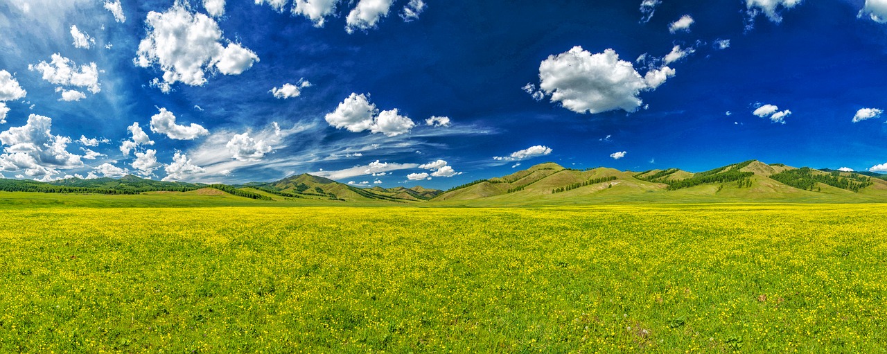 Image - the valley of flowers