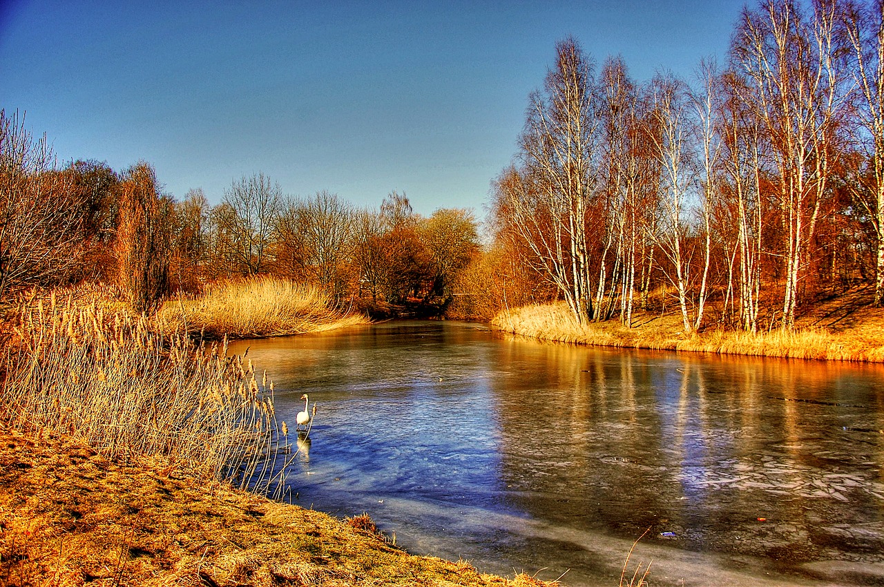 Image - gifhorn mill lake schloßsee swan