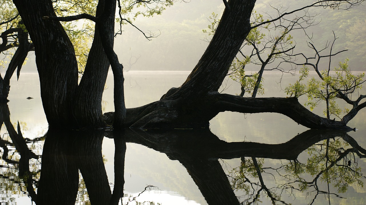 Image - the main production wangbeodeul