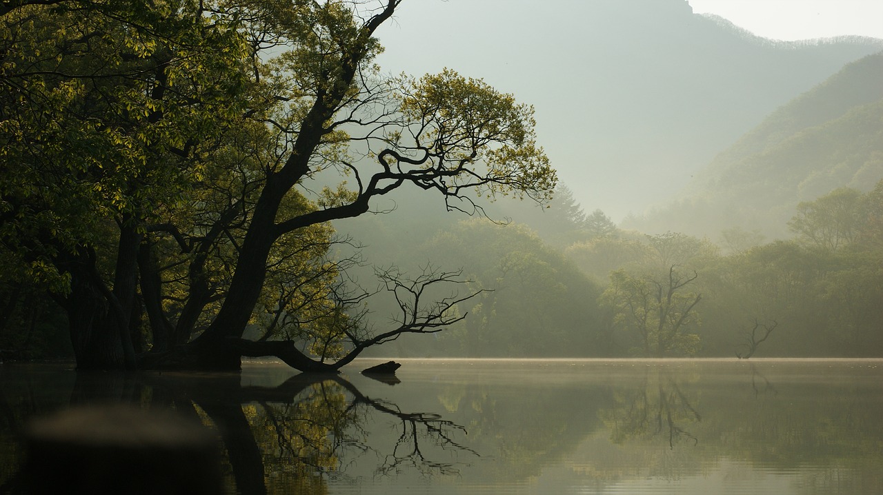 Image - the main production wangbeodeul