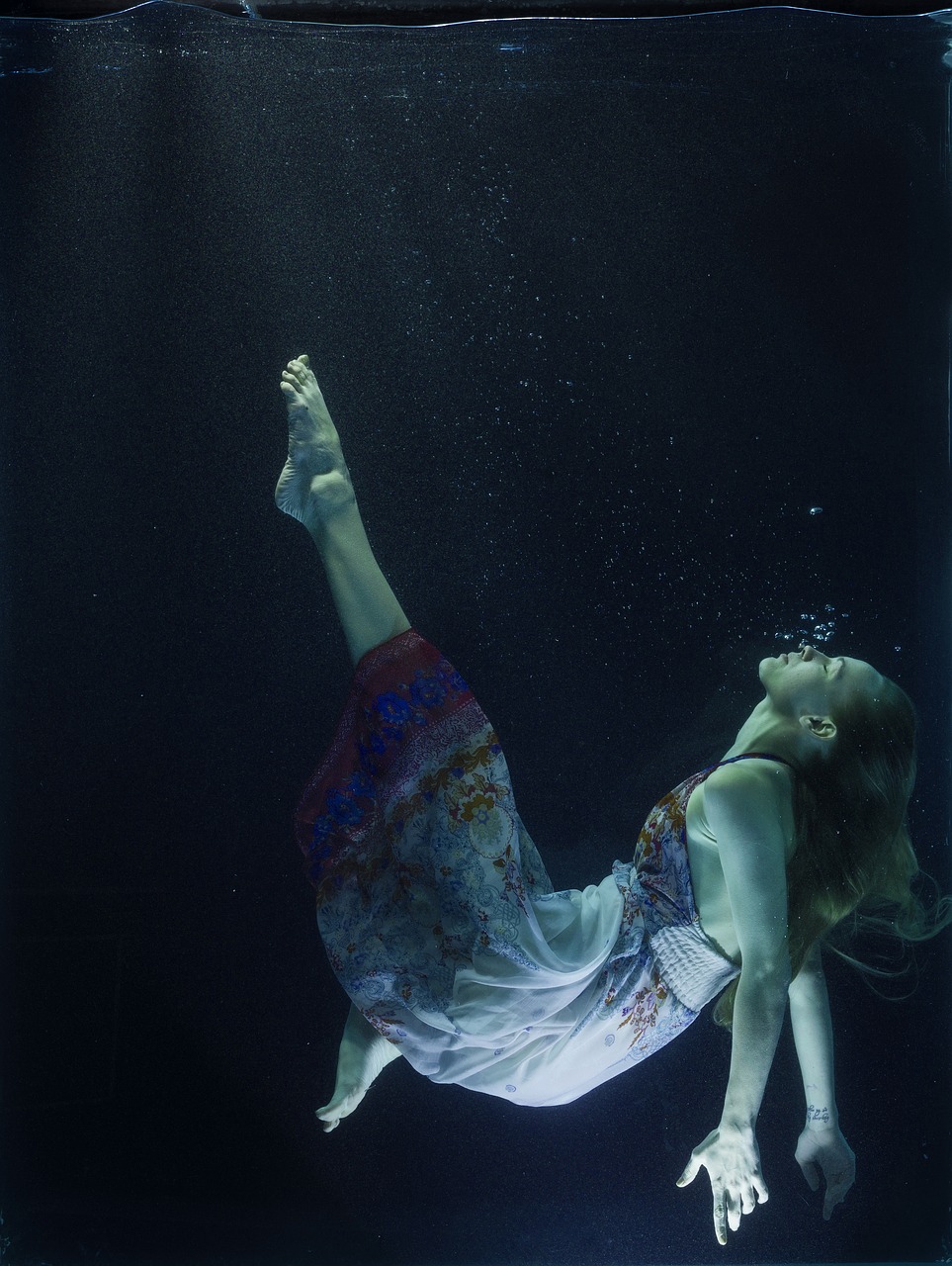 Image - tank fiction aquarium fine arts