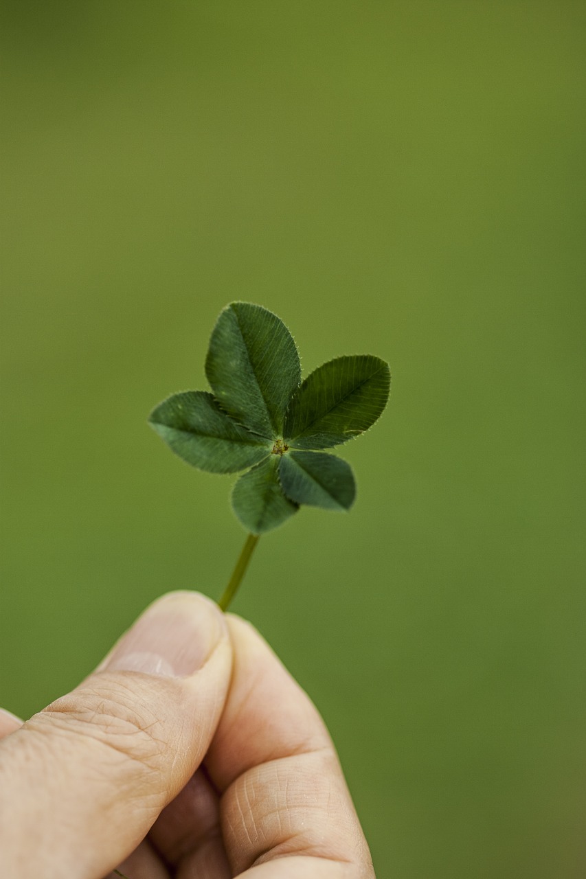 Image - clover abstract pool plants green