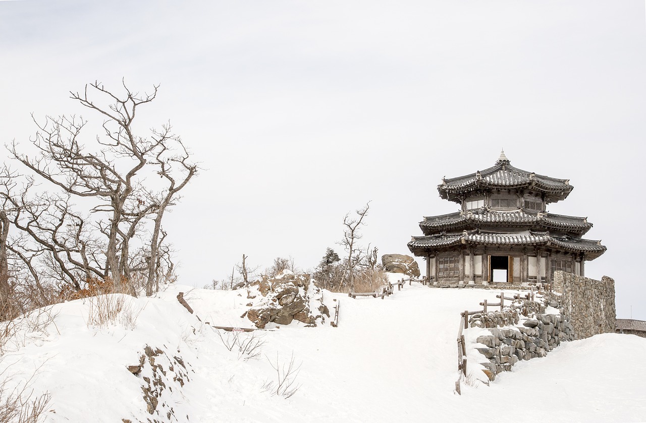 Image - nature snow winter background