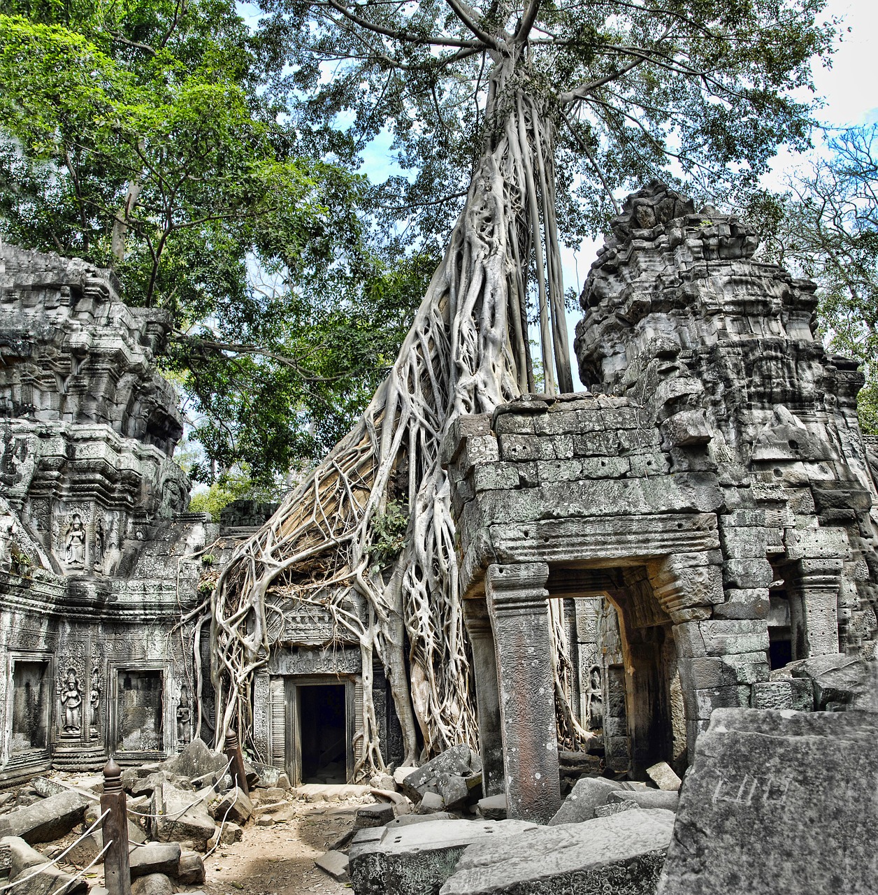 Image - ta prohm cambodia angkor wat