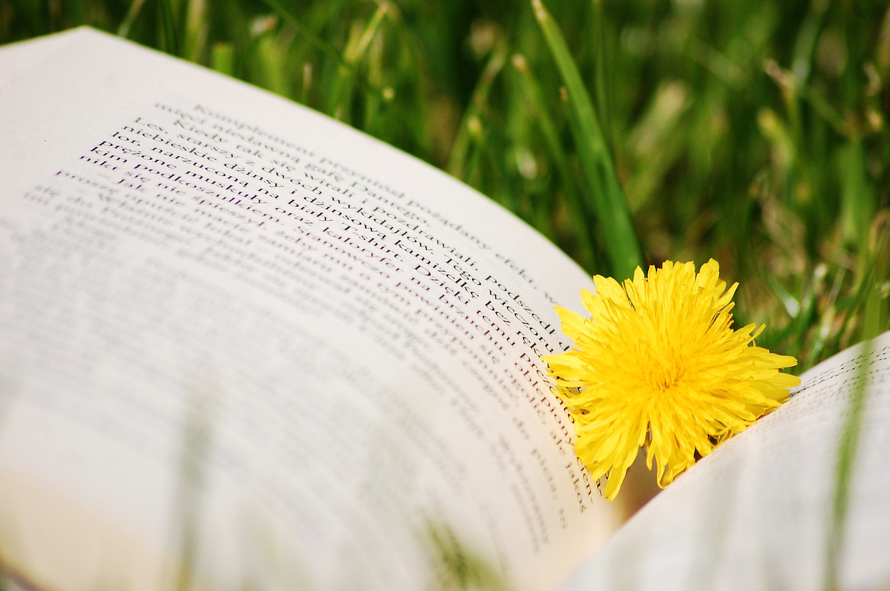 Image - book sonchus oleraceus nature grass