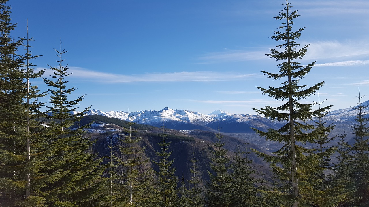 Image - washington state mt st helens