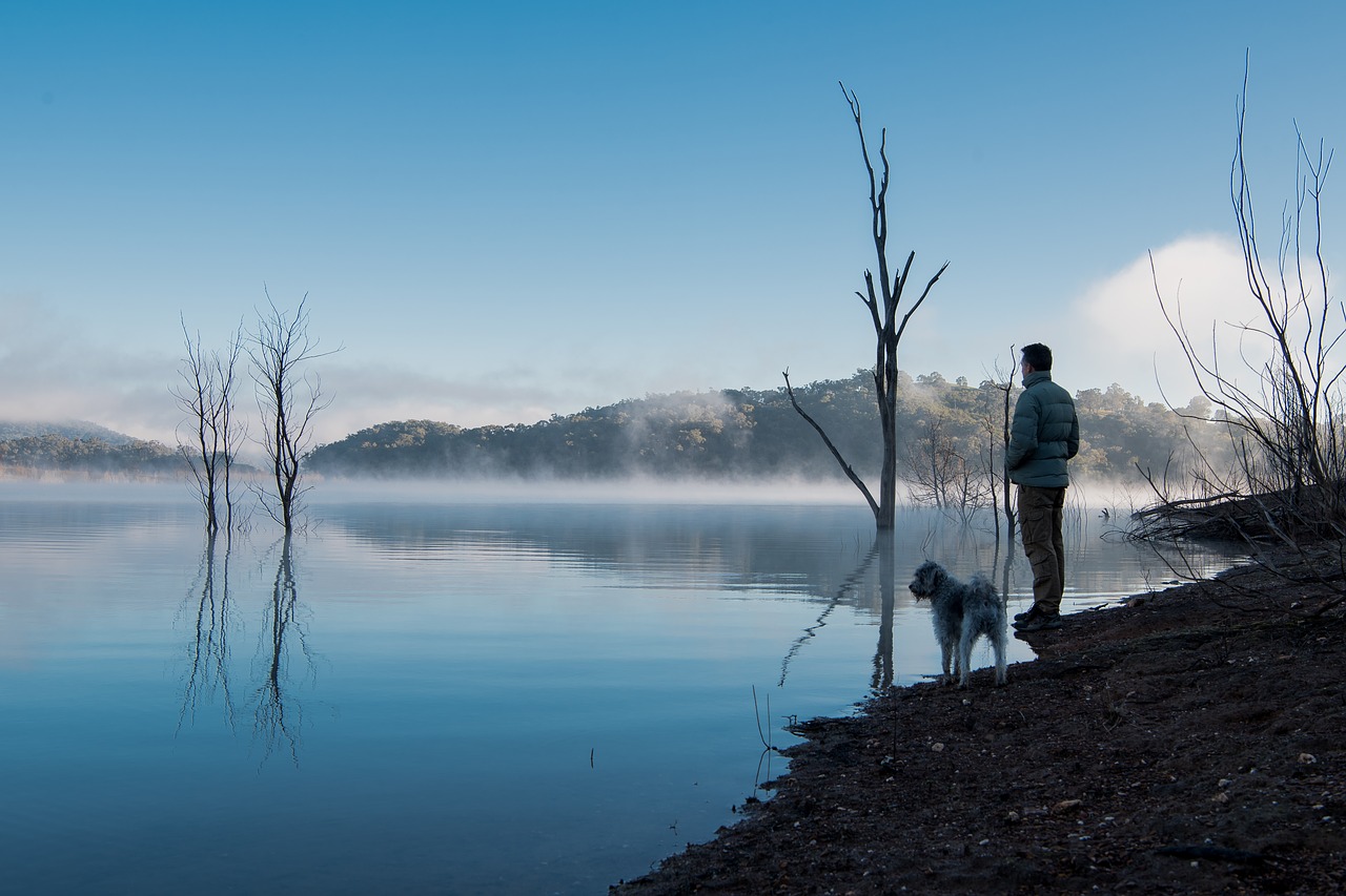 Image - lake sunrise water landscape