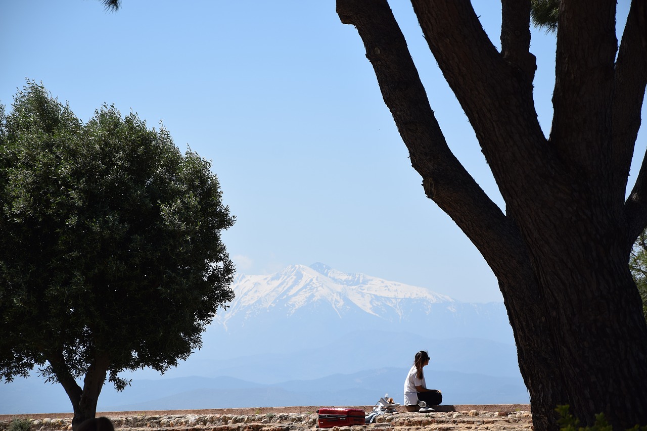 Image - perpignan pyrenees girl suitcase