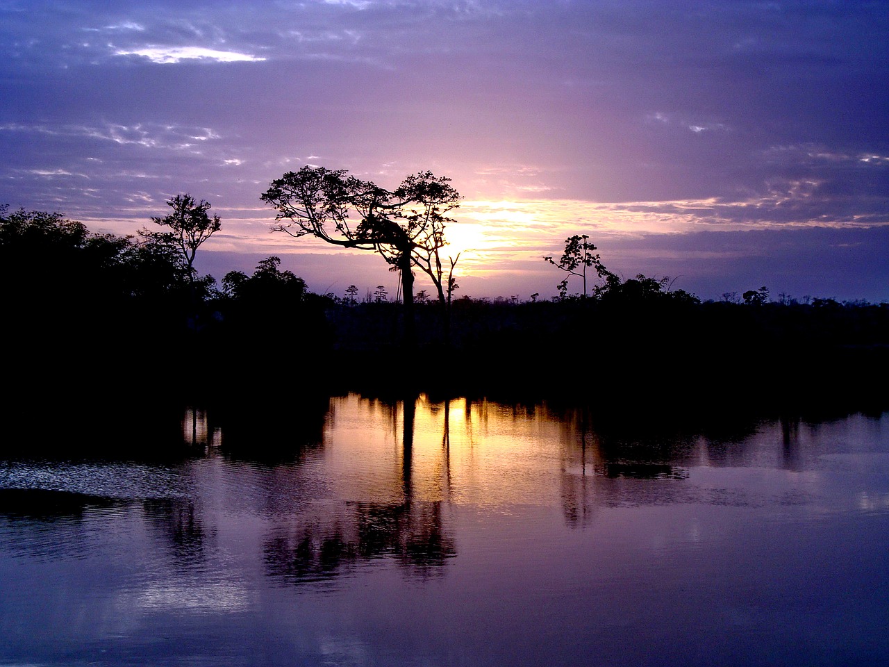 Image - gayana the river demerara