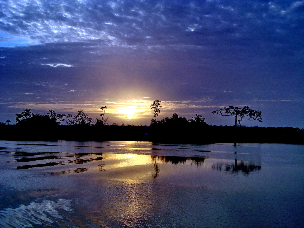 Image - gayana the river demerara