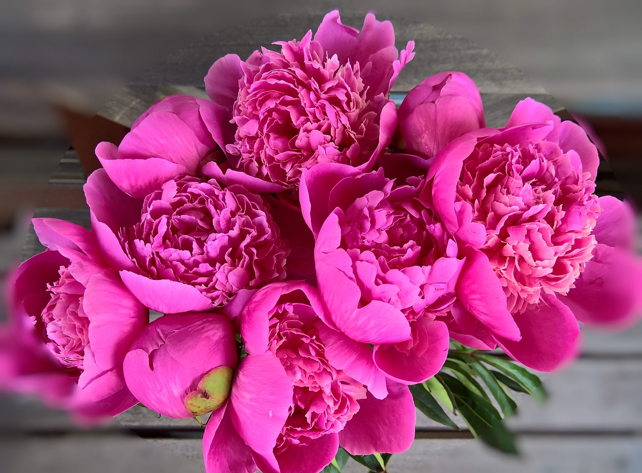 Image - peony bouquet large flowers flower