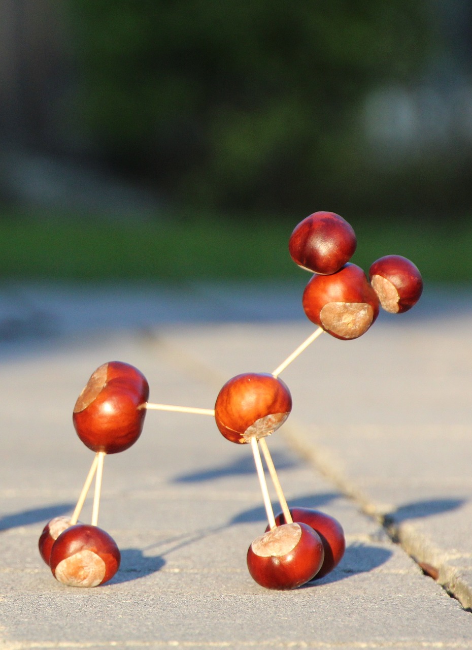 Image - chestnut animal chestnut toothpick