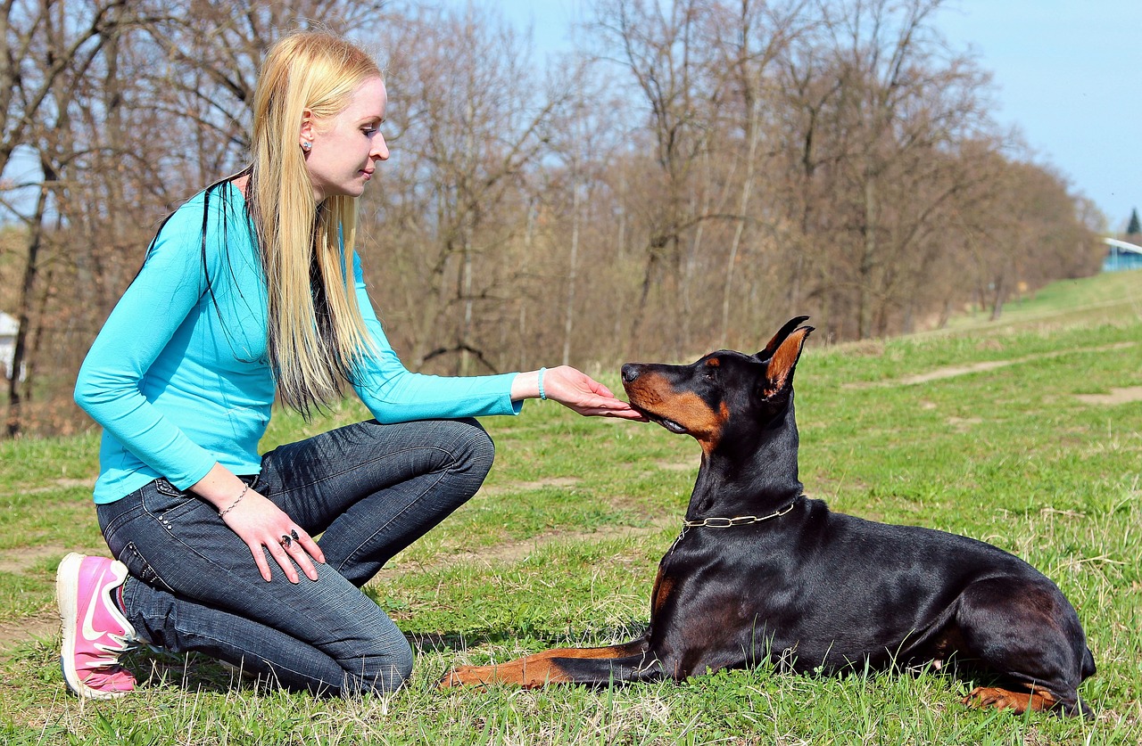 Image - doberman blonde girl love