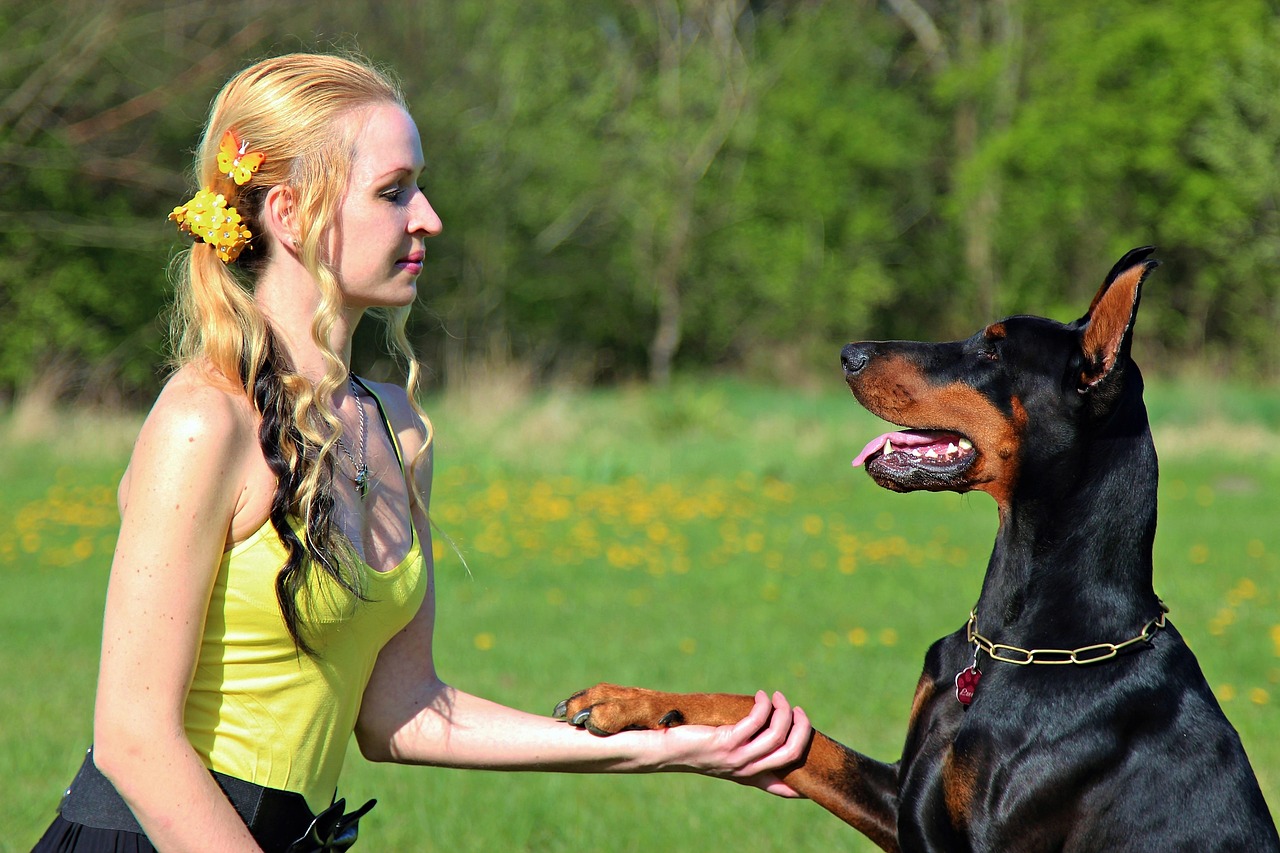 Image - doberman blonde woman friendship