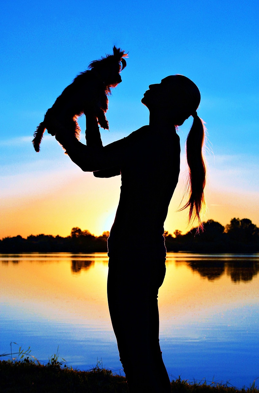 Image - yorkshire terrier woman silhouette