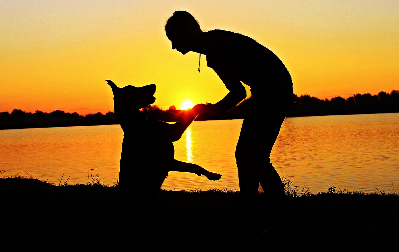 Image - doberman woman silhouette sunrise