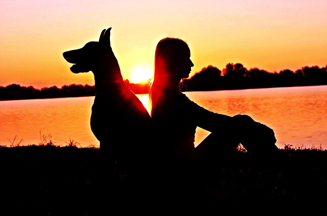 Image - doberman woman silhouette sunrise