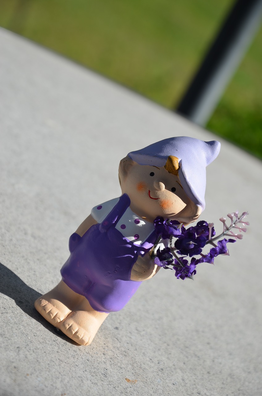 Image - garden gnome violet pants