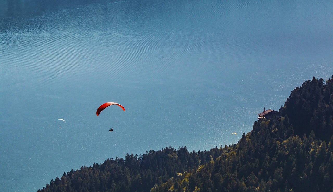 Image - delta sailor paraglider