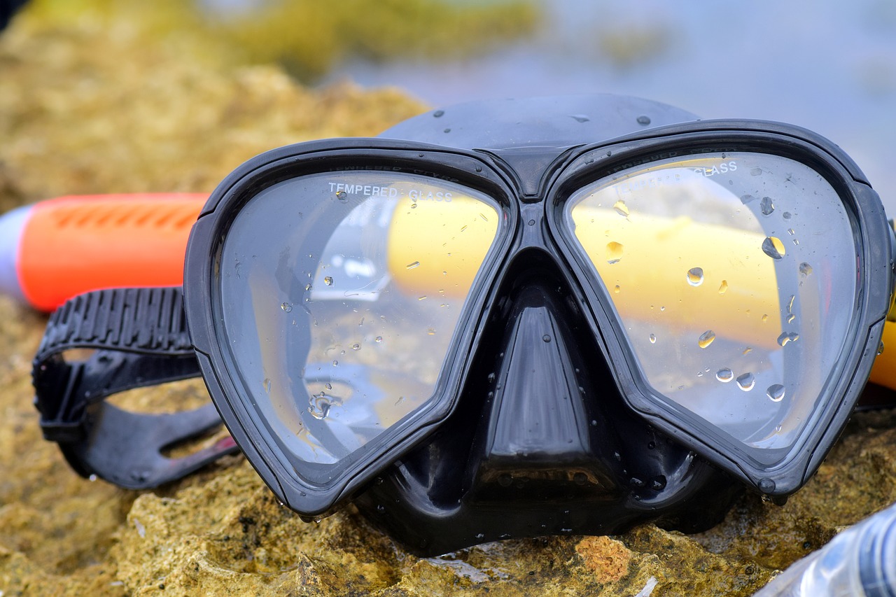 Image - diving mask diving nature sea