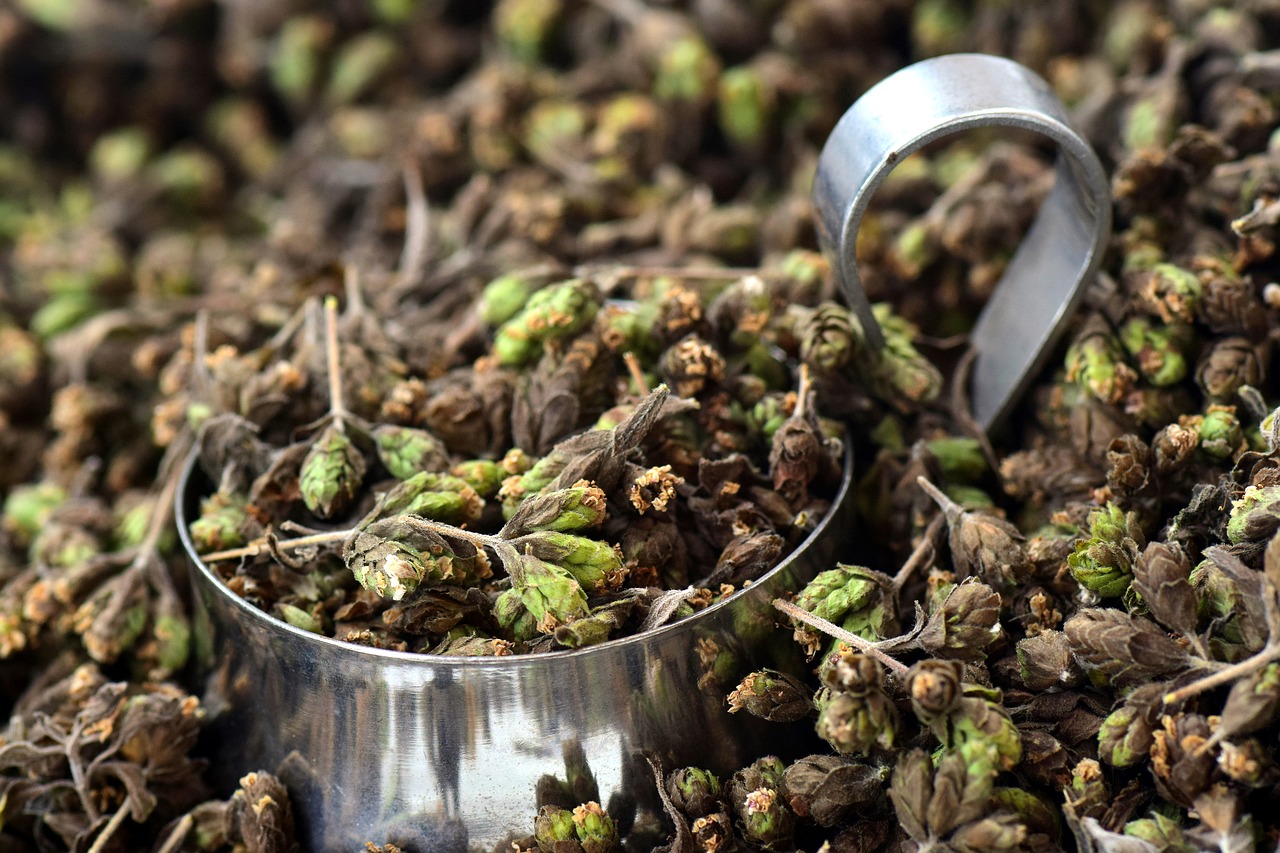 Image - oregano spice herbs season cook