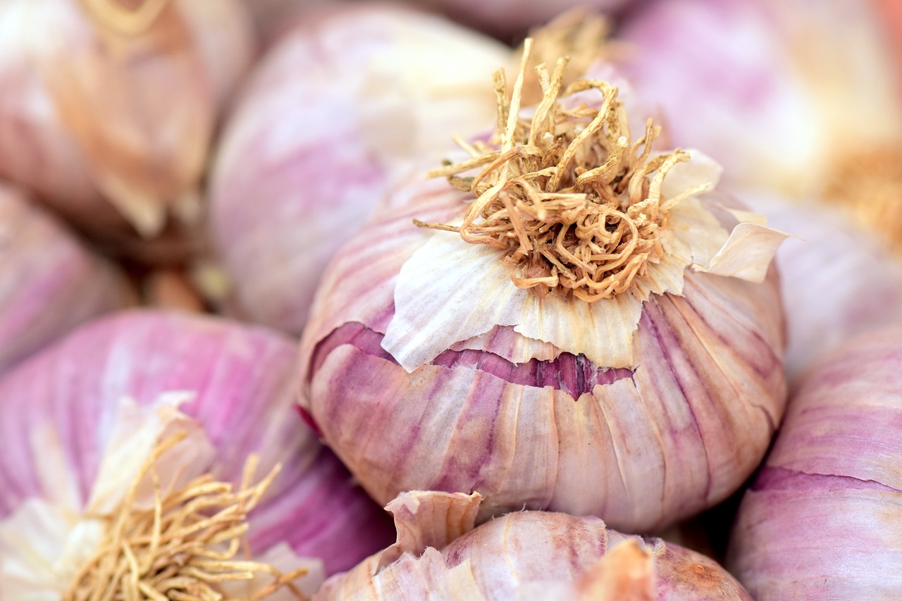 Image - garlic mediterranean spice cook