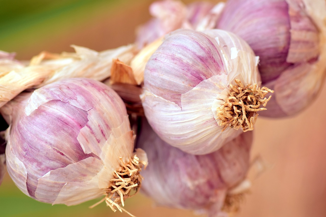 Image - garlic mediterranean spice cook