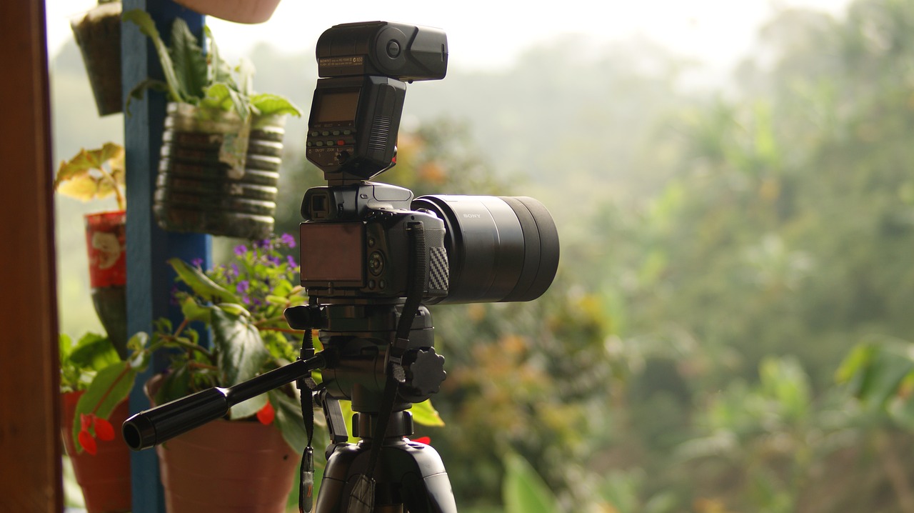 Image - nature people animals quindio