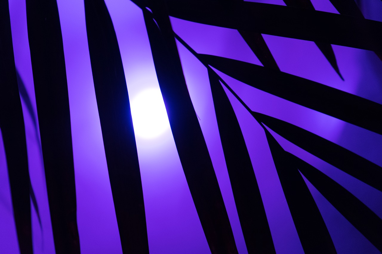 Image - palm neon light neon party art