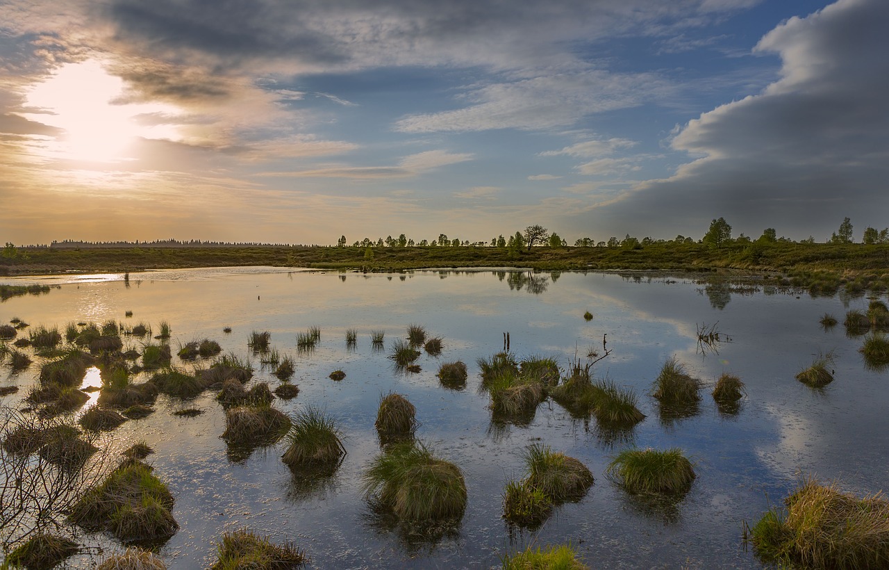 Image - ardennes landscape moor water