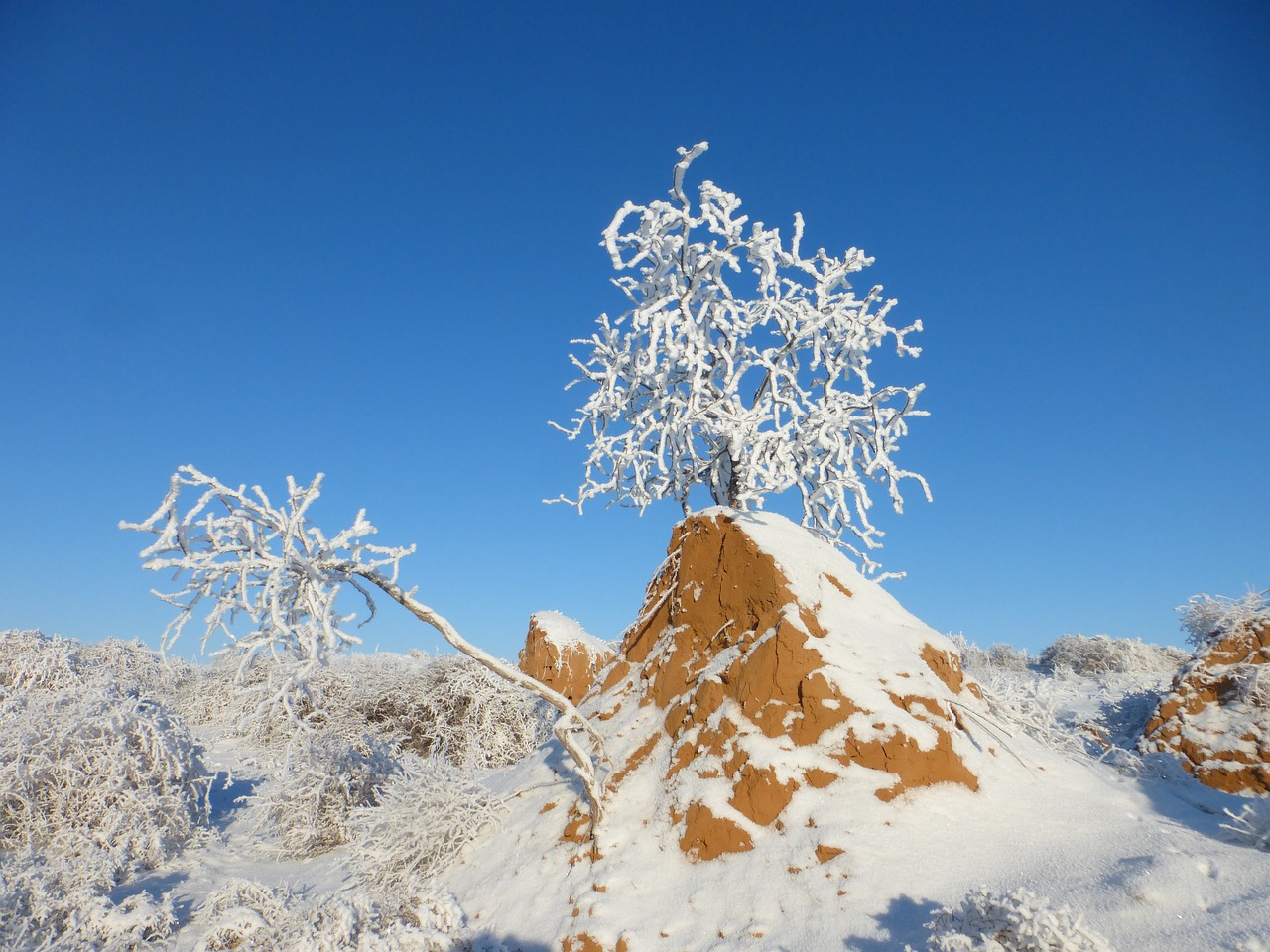 Image - winter steppe kostric frost snow