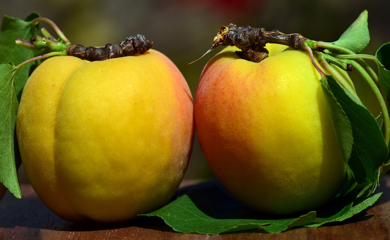 Image - apricots fruit sweet delicious