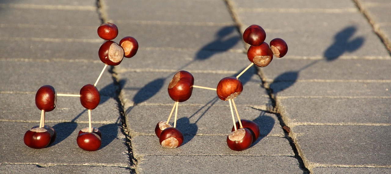 Image - chestnut animal chestnut toothpick