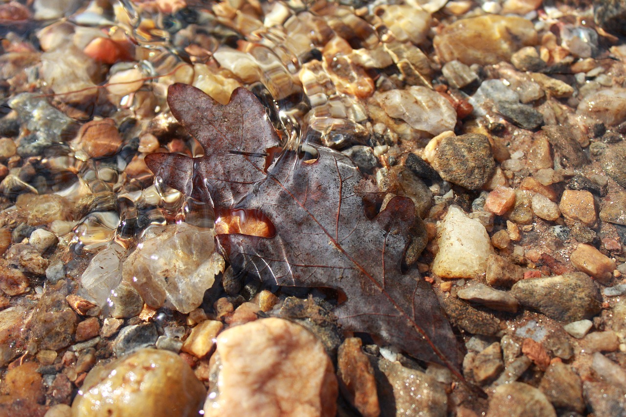 Image - brown autumn water creek crystal