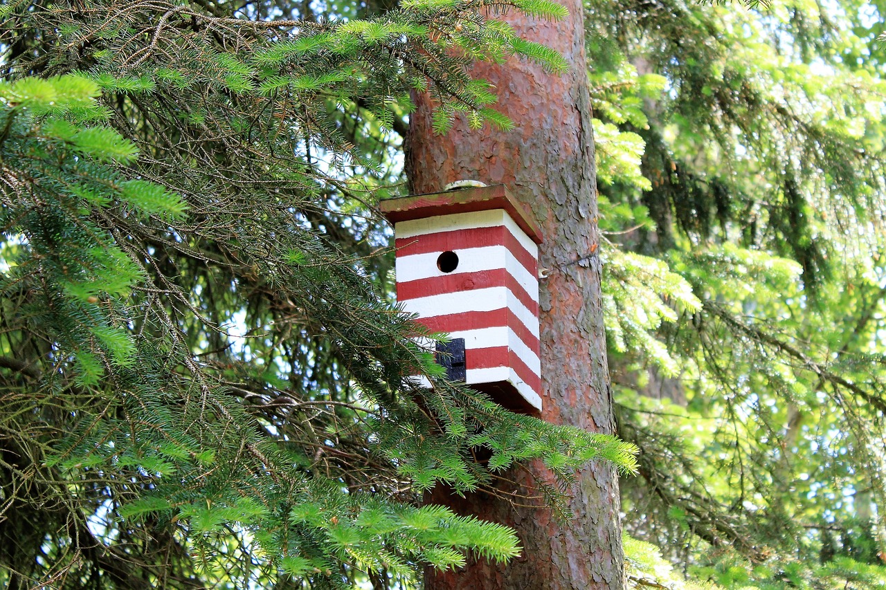 Image - birdhouse box nest bird forest