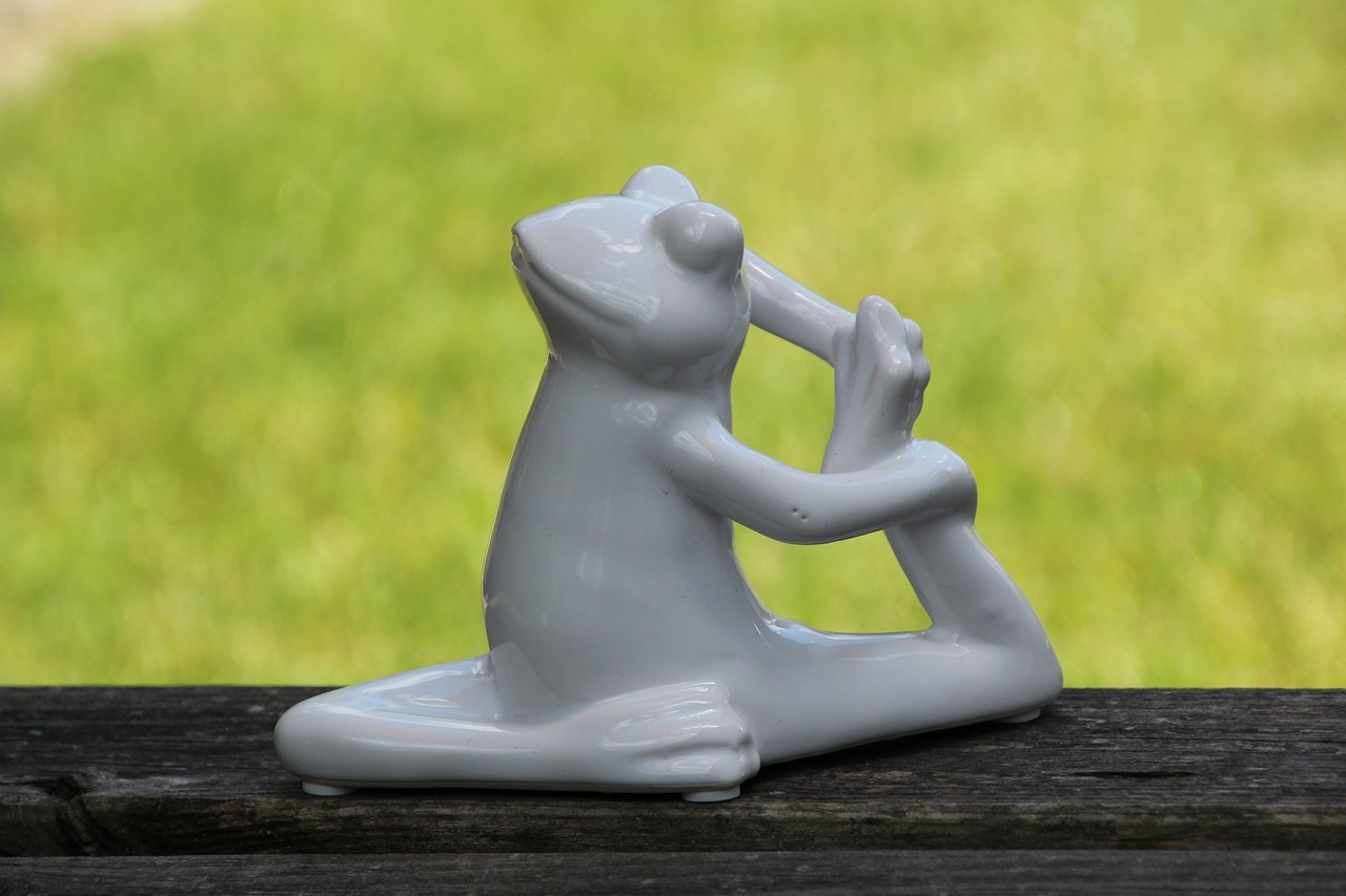 Image - yoga frog gymnastics