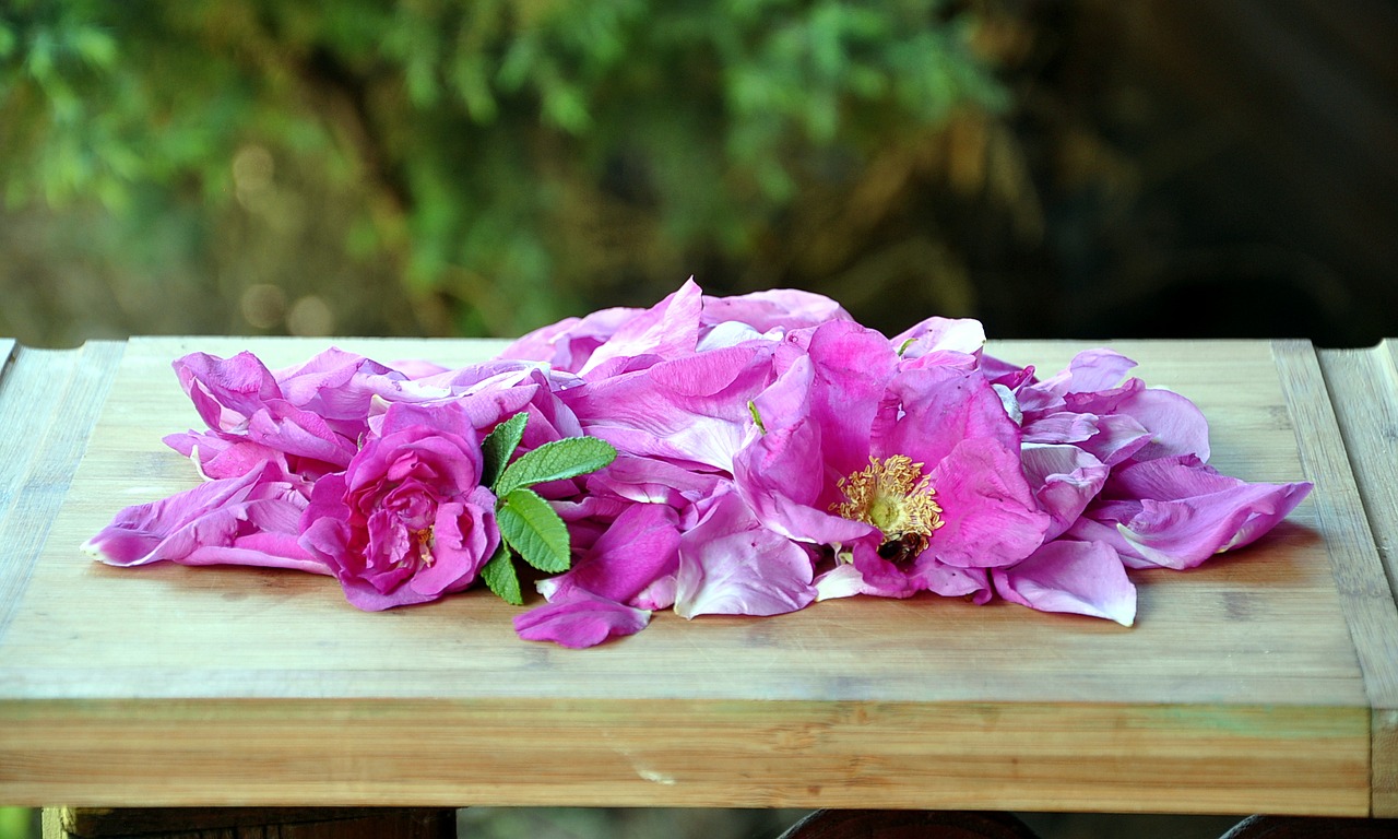 Image - rose the petals jam rose petals