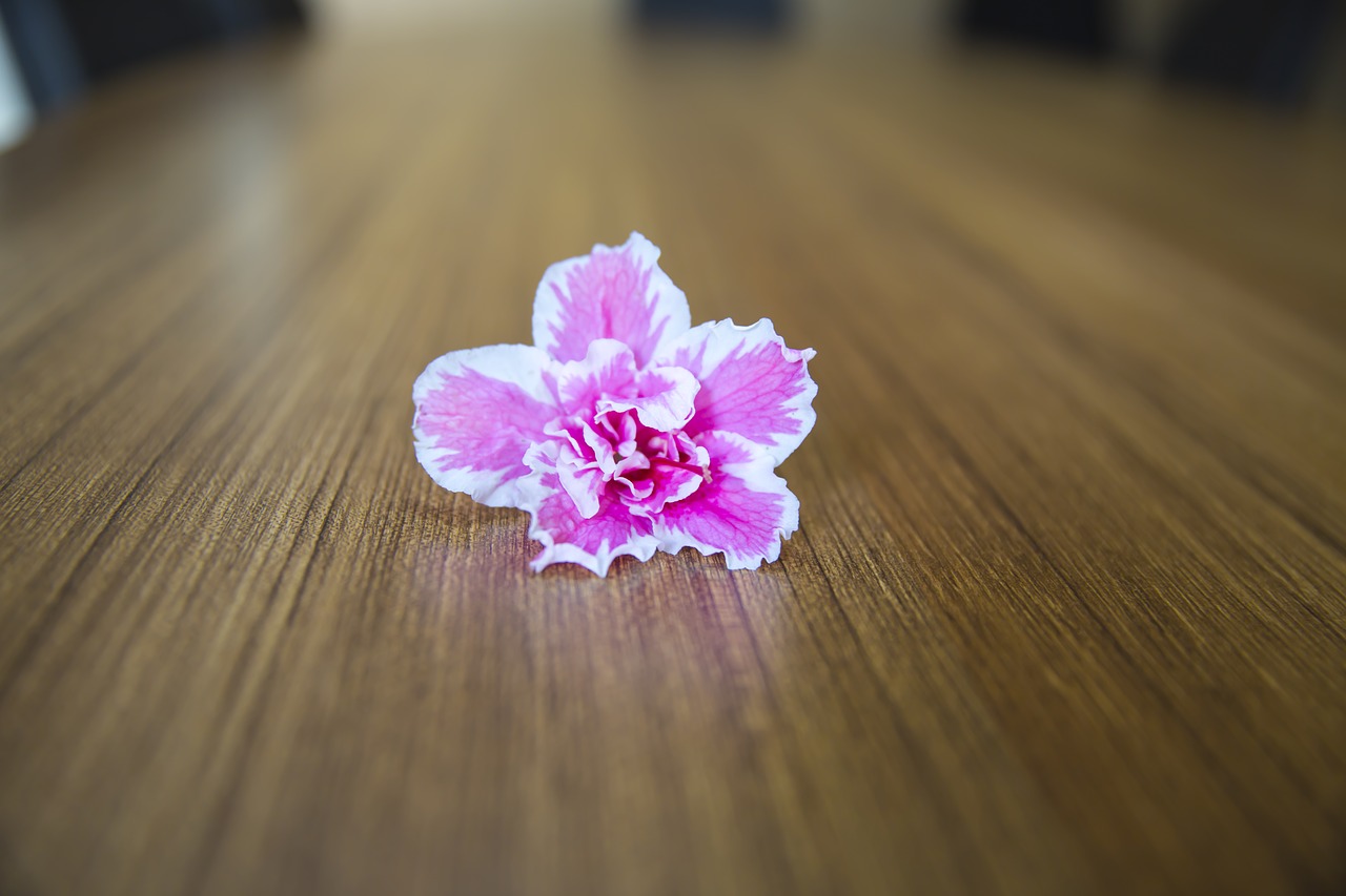 Image - floweers and table backround desk